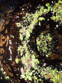صورة لوصفة انجليش كيك 🍰