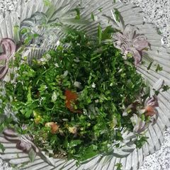 A picture of Tabbuoleh Salad.
