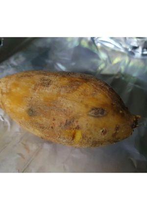 烤地瓜 的食譜成品照片
