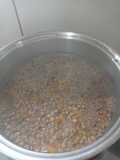 Lentejas con carne molida