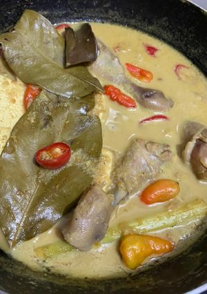 Foto resep Opor Tahu dan Ayam byTia