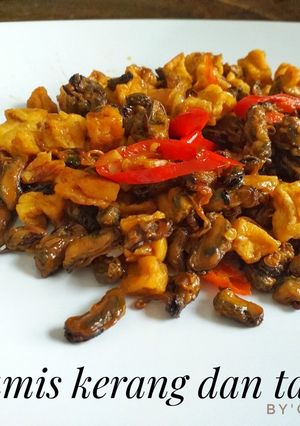 Foto resep Tumis kerang dan tahu