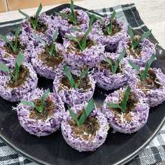 รูปของ Awug awug ubi ungu /kue sengkulun ubi ungu