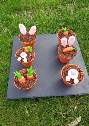 Une photo de Mini pot de fleur