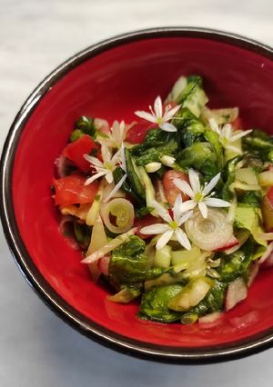 Medvehagymavirágos savanyúság (saláta) recept fotója