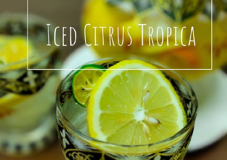 Iced Citrus Tropica