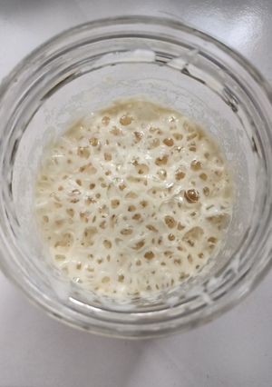 Foto resep Starter roti