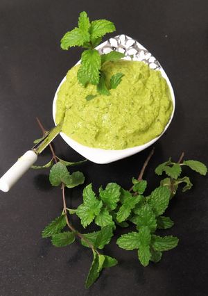 લીલી ચટણી (Green Chutney Recipe In Gujarati) રેસીપી મુખ્ય ફોટો