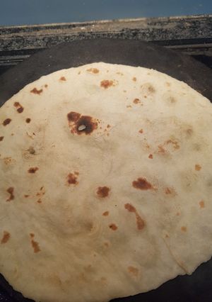 A picture of Roti.