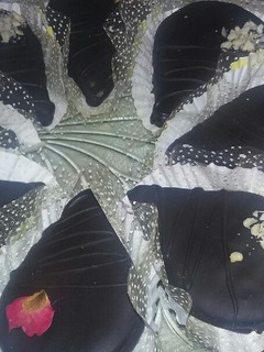 صورة لوصفة صابلي الشوكولاتة بكريمة الزبدة 😍