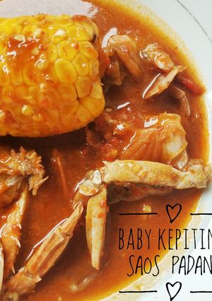Foto resep Baby Kepiting Saos Padang Sederhana