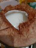 Puding Jelly isi Dogan