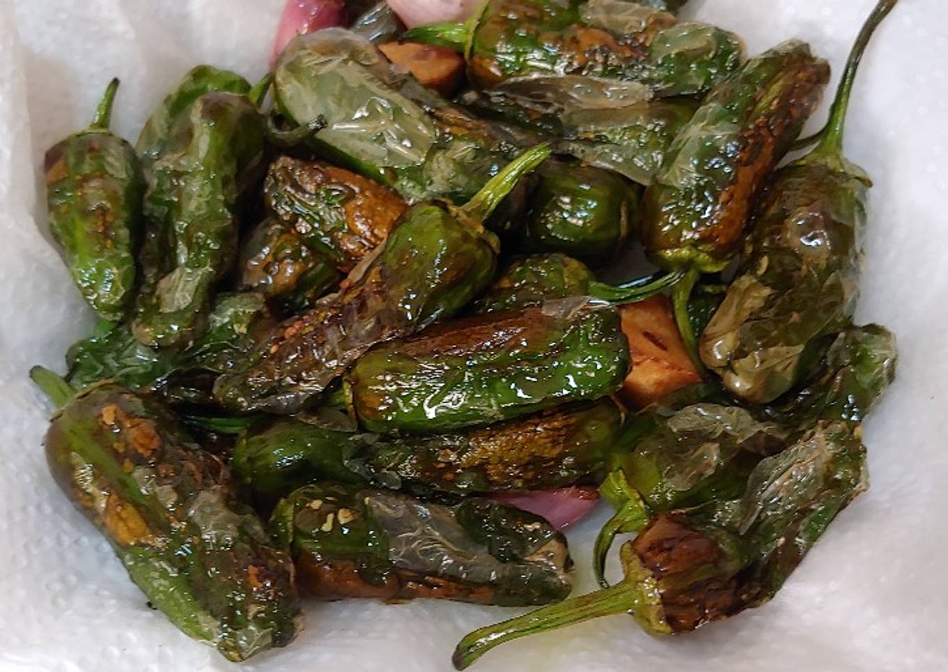 Pimiento Padrón