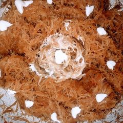 A picture of Creemi siweyan.