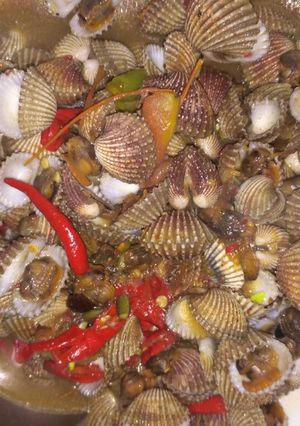 Foto resep Kerang saos tiram pedassz