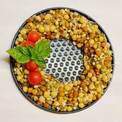 A picture of Salad Wreath.