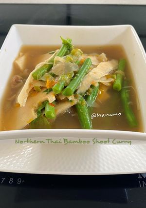 A picture of Northern Thai Bamboo Shoot Curry.
