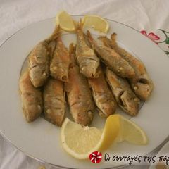 A picture of Fried red mullet.