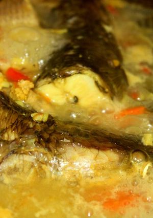 Foto resep Sup Ikan Gabus Praktis