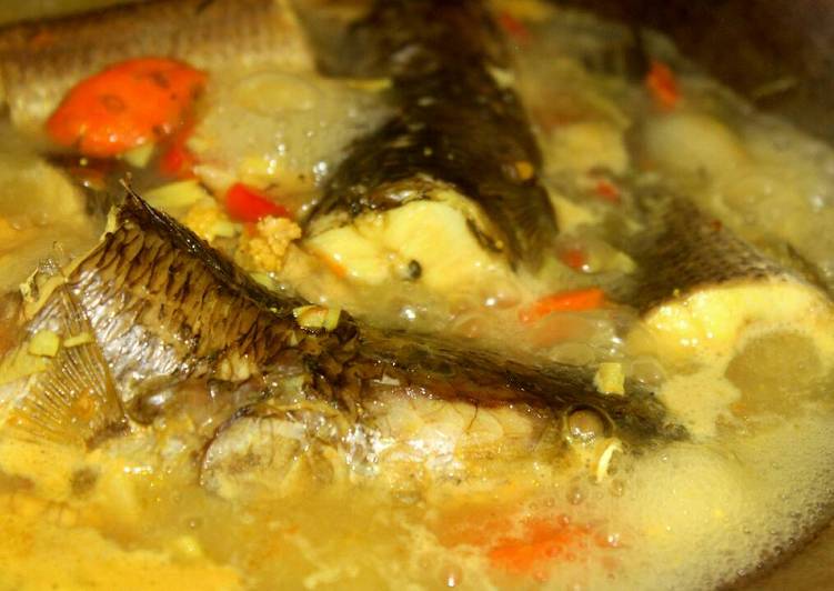 Sup Ikan Gabus Praktis