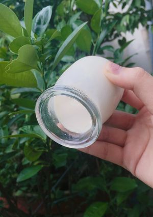 Hình của món Sữa chua phô mai úp ngược.