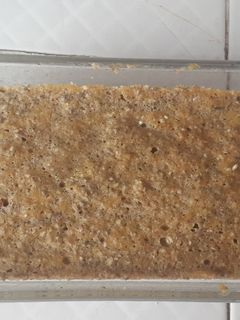 Una foto de Torta de calabaza y avena.  (Sin horno)