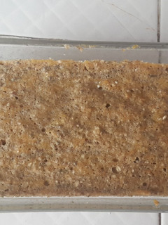 Una foto de Torta de calabaza y avena. (Sin horno)