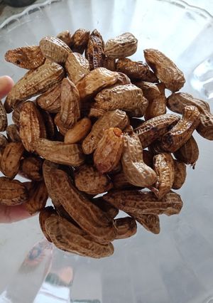 Foto resep Kacang Rebus