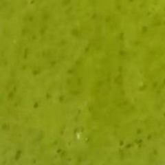 Green Chutney A picture of Green Chutney.