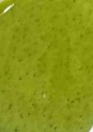 A picture of Green Chutney.