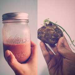 รูปของ Jicama juice with raw cacao powder and honey (Jus Bengkoang)