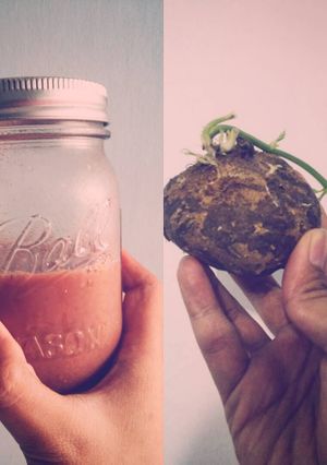 Foto resep Jicama juice with raw cacao powder and honey (Jus Bengkoang)