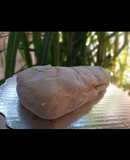 Ciabatta artesanal con aceitunas