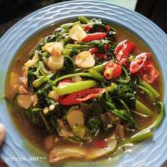 รูปของ Cah kangkung