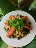 Ulukutek lenca tempe
