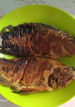 Foto resep Ikan bakar happycall
