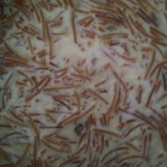 A picture of Seviya kheer.