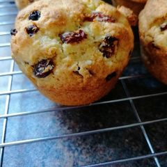 A picture of Rock "muffins".