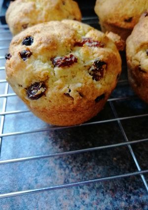 A picture of Rock "muffins".