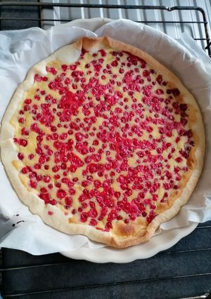 Une photo de Tarte aux groseilles