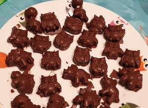 Foto di Cioccolatini fatti con il moulinex companion