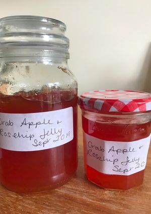 A picture of Crab Apple and Rosehip Jelly.