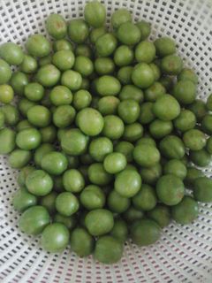 عکسی از دستور ترشی گوجه سبز یا آلوچه