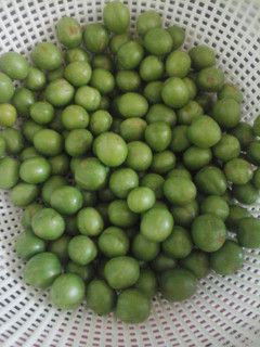 عکسی از دستور ترشی گوجه سبز یا آلوچه