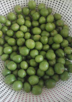 عکسی از دستور ترشی گوجه سبز یا آلوچه