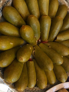 صورة لوصفة محشي كوسا