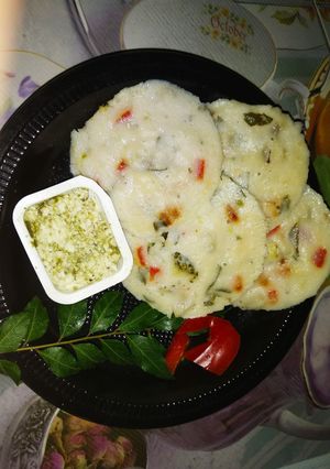 A picture of Rava veggies idli.