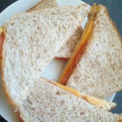A picture of Cheese and tomato sandwich.