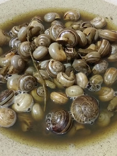Una foto de Caracoles al poleo