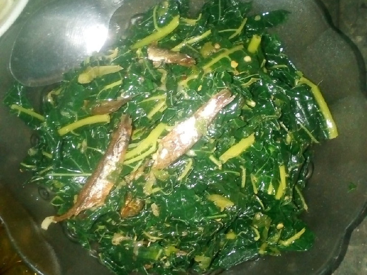 Resep Tumis daun pepaya dan teri Anti Gagal